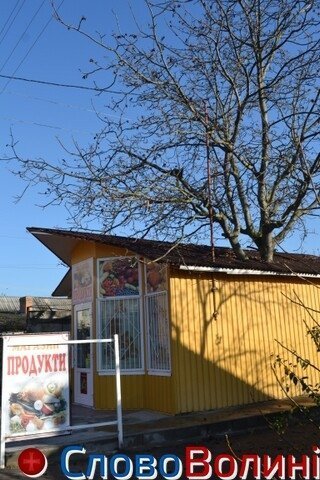 У Луцьку є «магазин-дерево». ФОТО